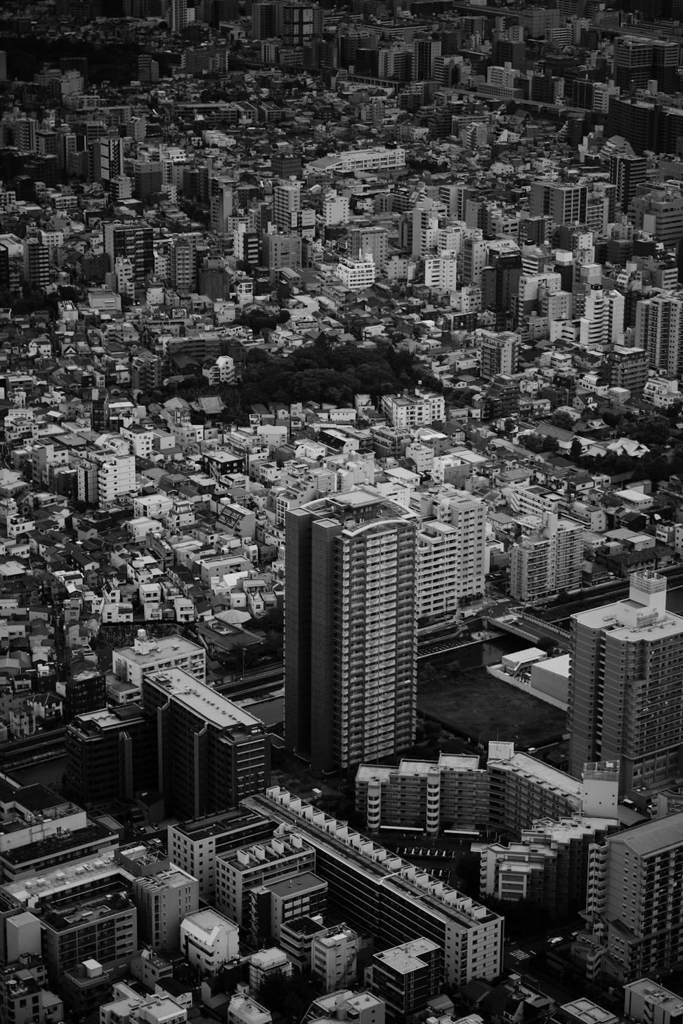 Commercial Drive Project